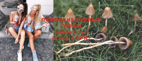 гидра Алзамай