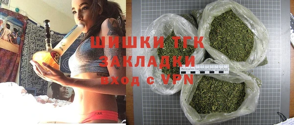 дживик Пересвет