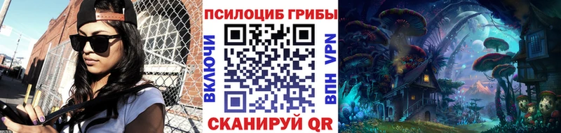 Псилоцибиновые грибы GOLDEN TEACHER  где продают наркотики  Котовск 